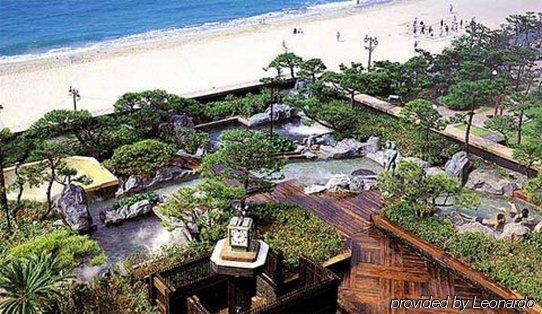 Rio Roiss Hotel Rio de Janeiro Buitenkant foto